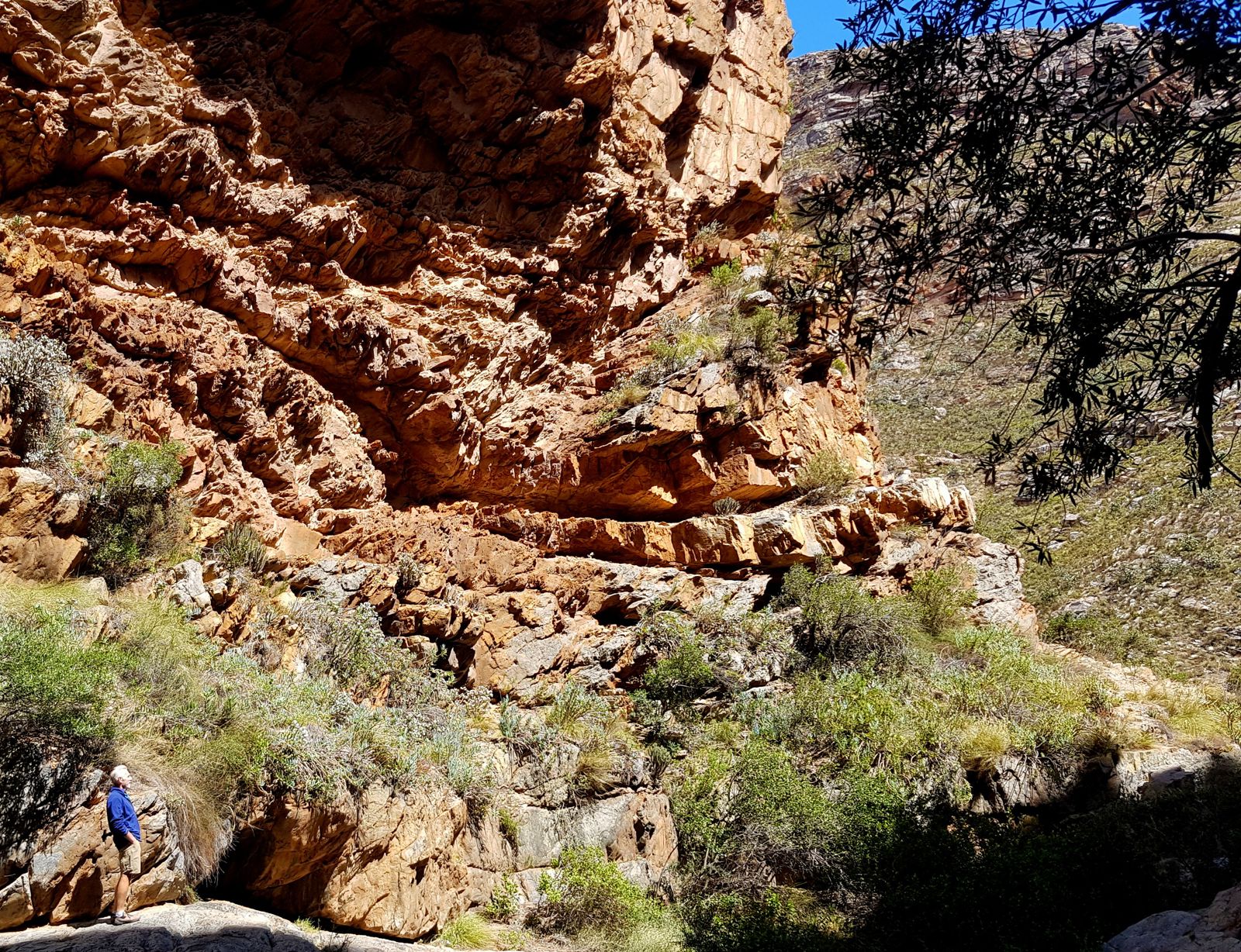 Private Half Day Tour Swartberg Pass 5